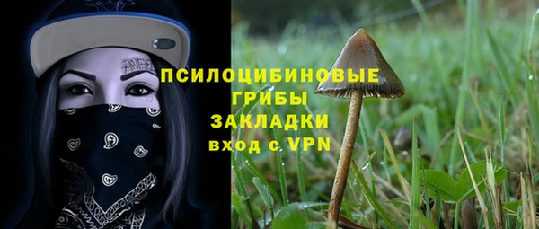 apvp Алзамай