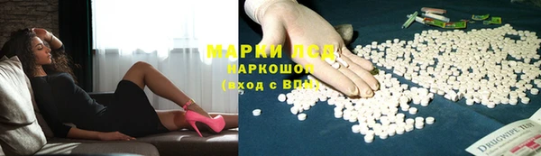 apvp Алзамай