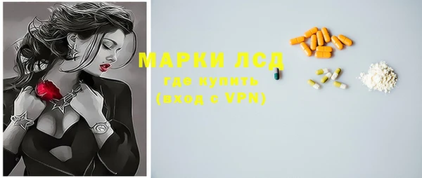 apvp Алзамай