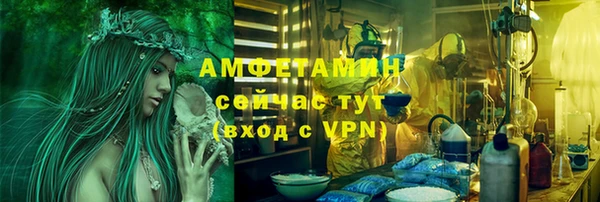 apvp Алзамай
